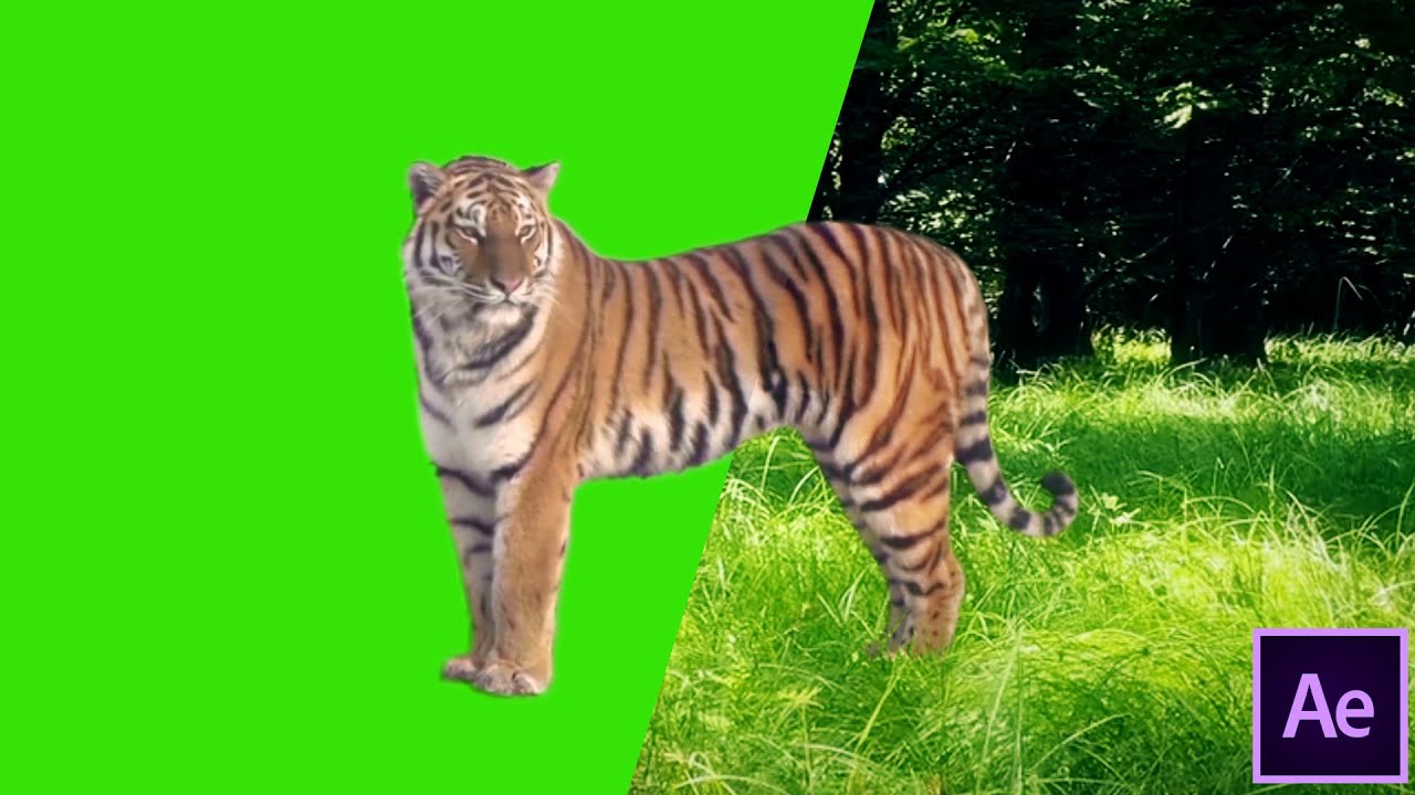 green screen tracking compositing tutorial using after effects - || EKKA Fx ||