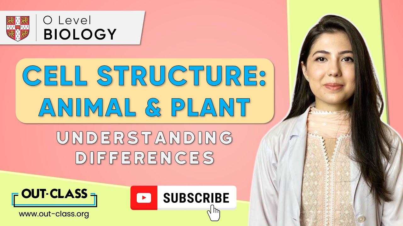 OUT-CLASS | O Level Biology | Structure of an Animal & Plant Cell