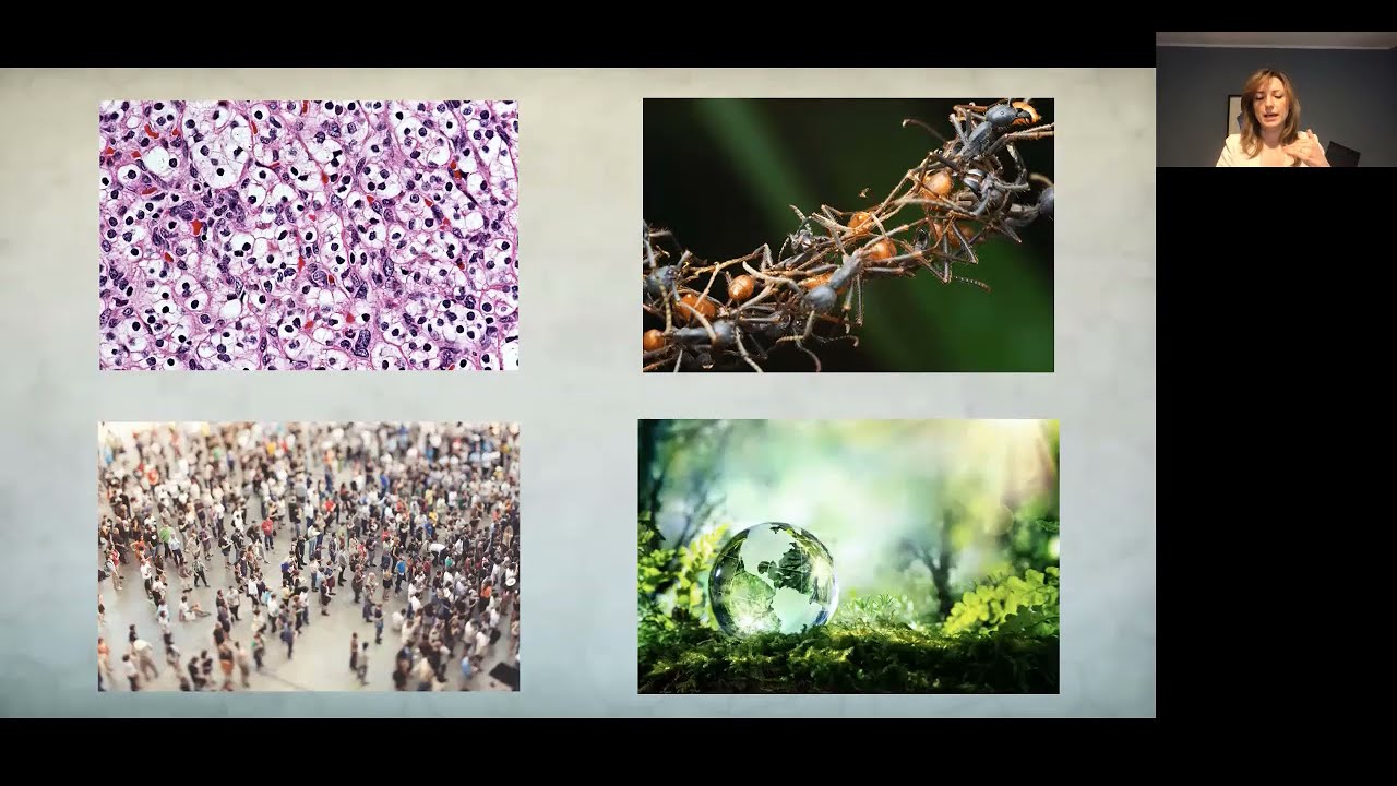 The Self-Organization and robustness of Biological Systems. Corina E. Tarnita
