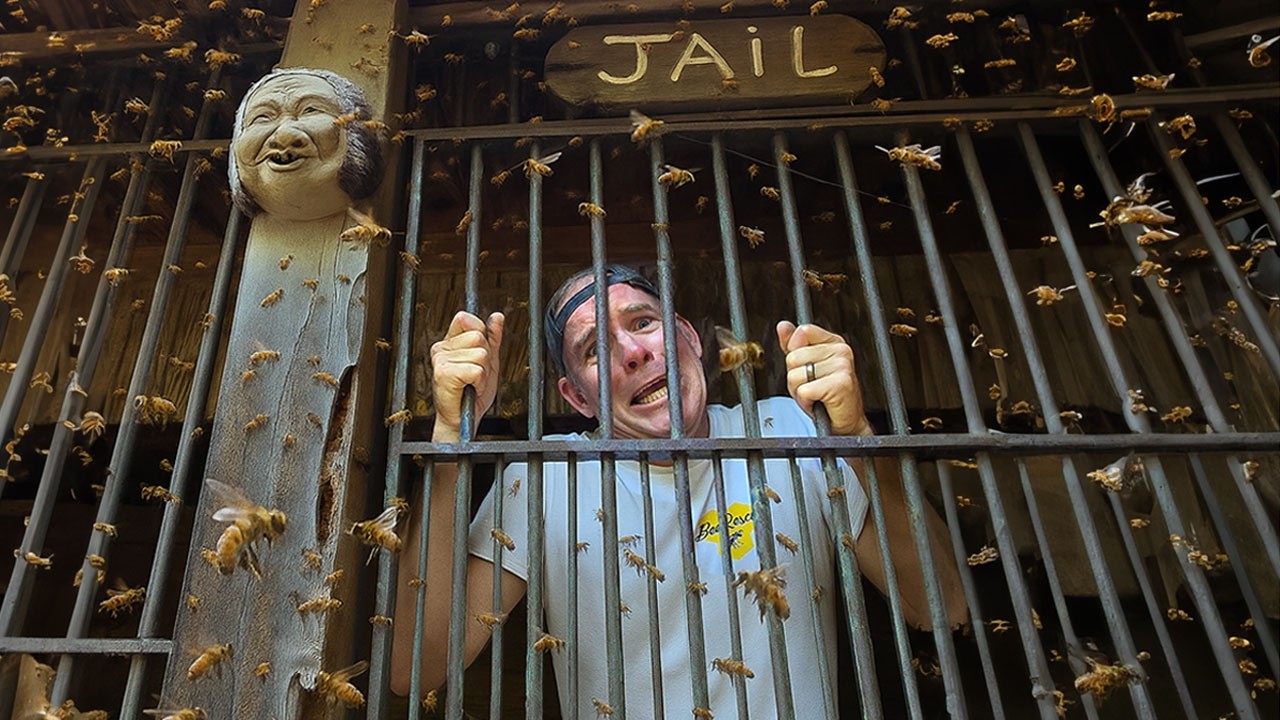 We Went To JAIL For This Bee Rescue