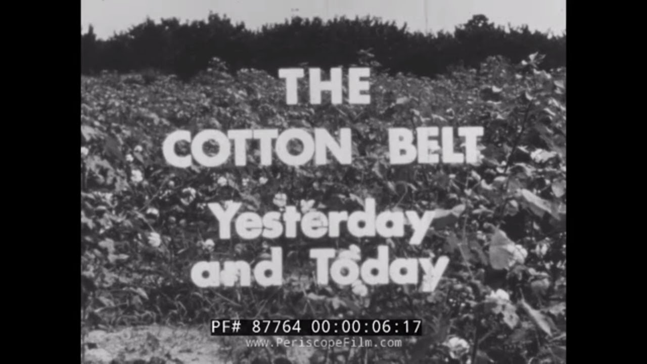 1961 PROFILE OF AMERICA'S COTTON BELT & COTTON INDUSTRY  87764