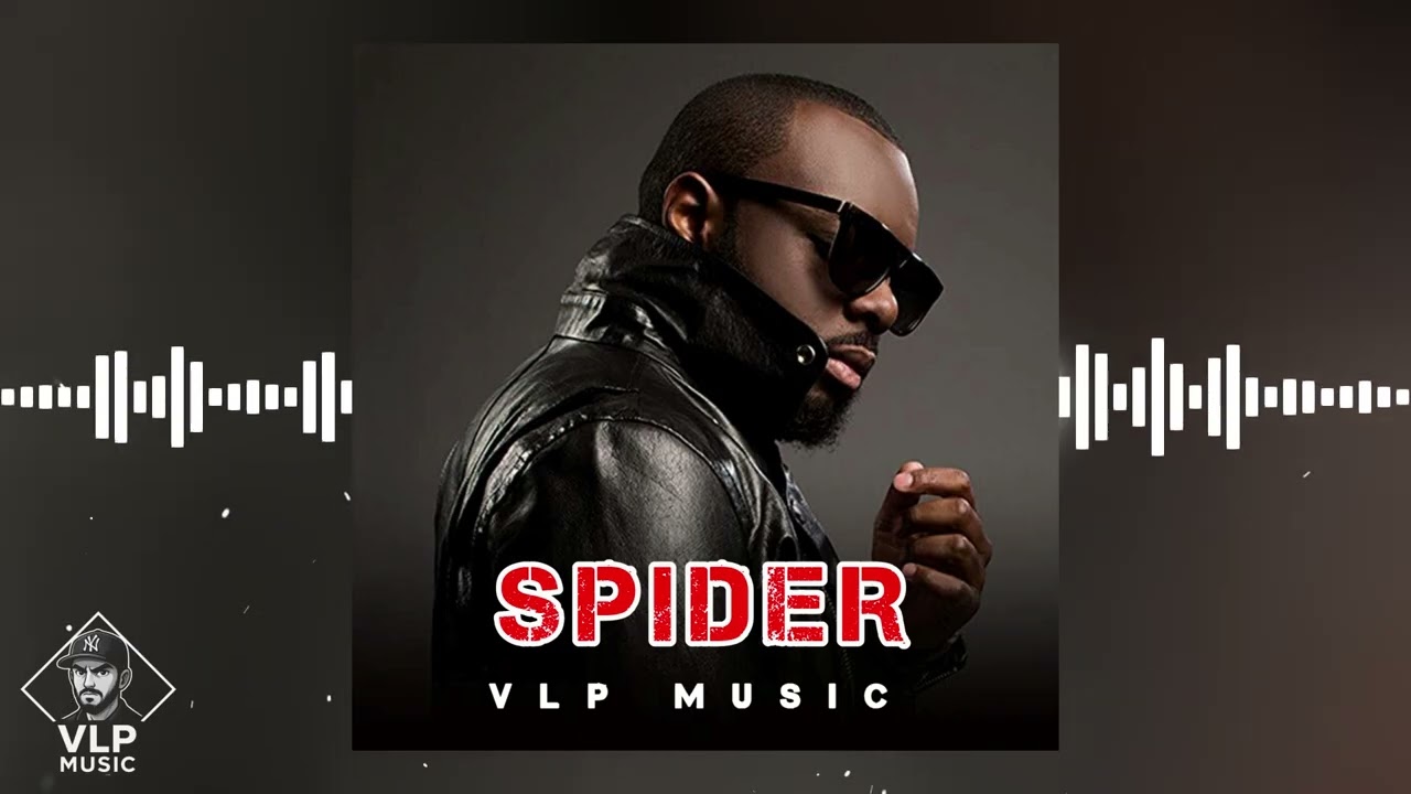 Gims x Dystinct Type Beat "SPIDER" | Instru Afro Beat 2025