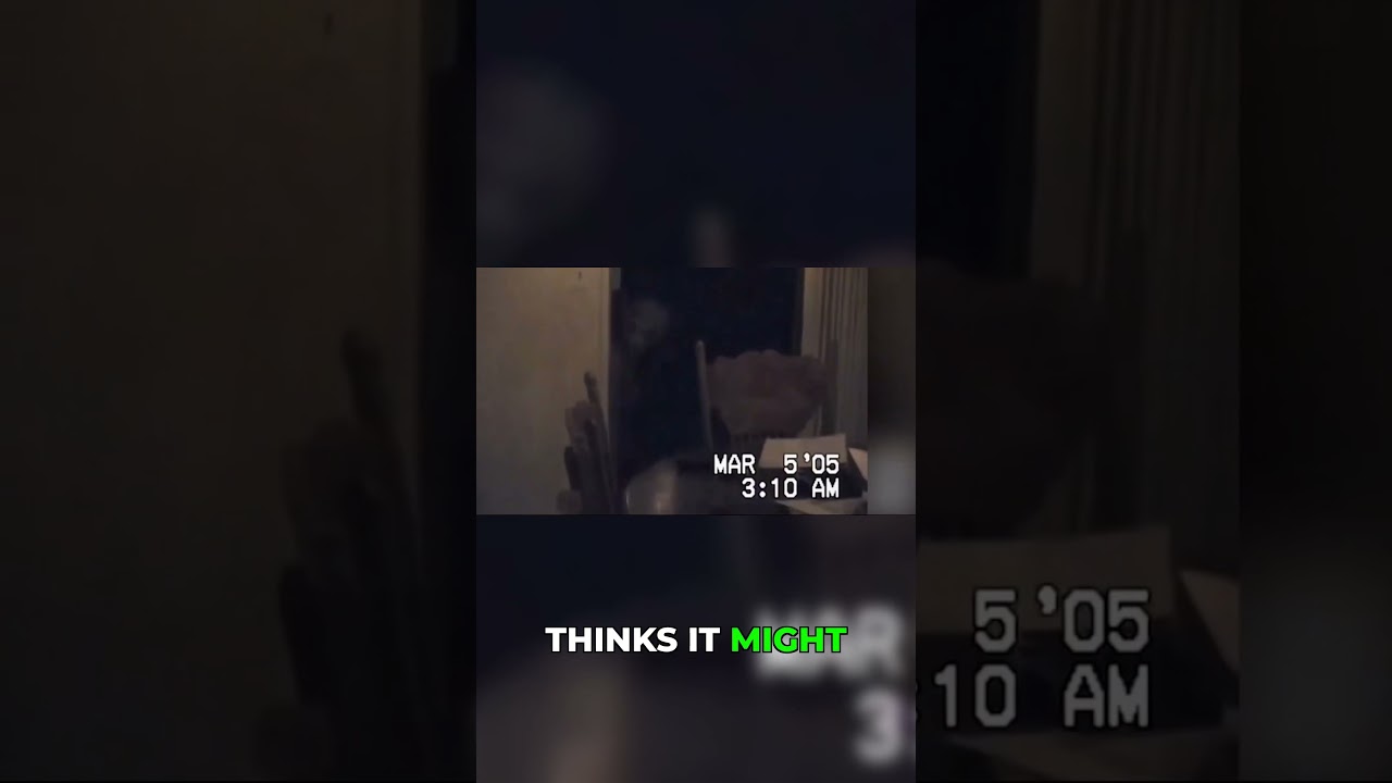 Real Alien Visit or Elaborate Prank That Fooled Millions 