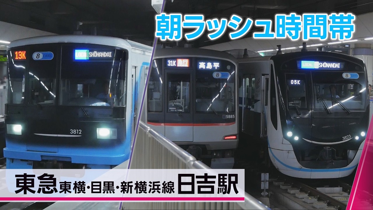 朝ラッシュの東急東横線、目黒線、東急新横浜線＠日吉駅