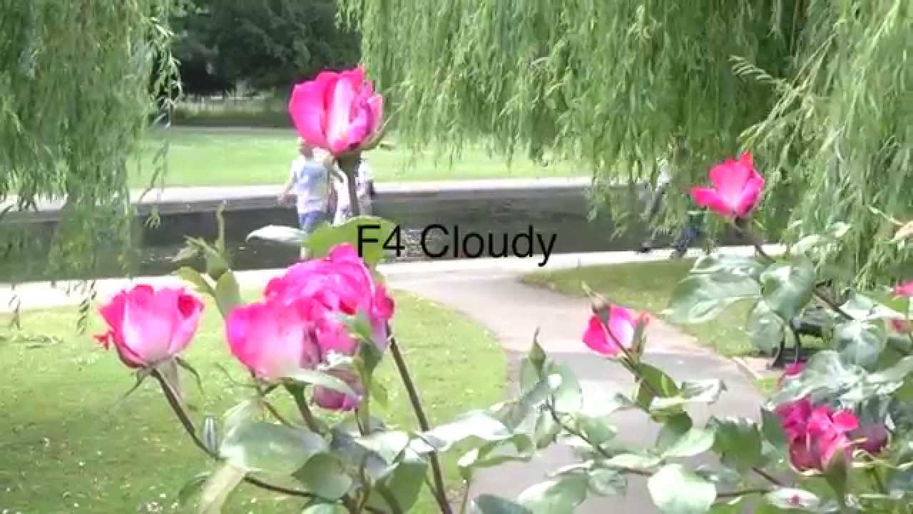 AC130 Scene File Test