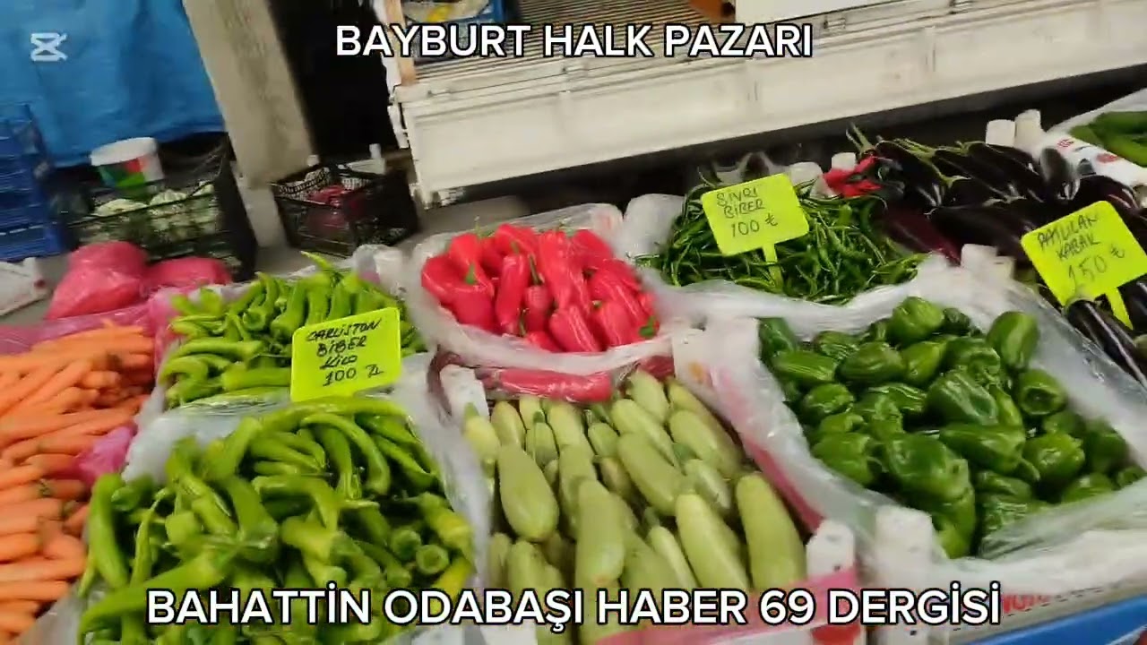 24 Şubat 2026
