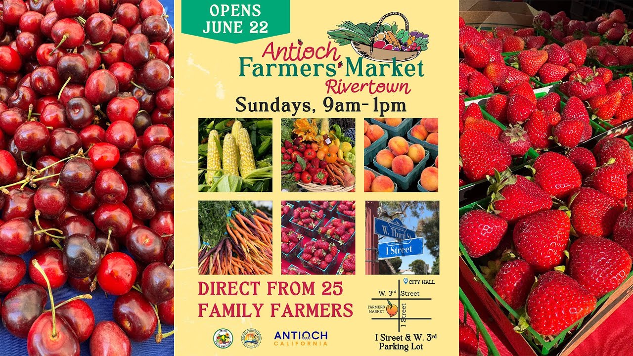 Antioch Launches Farmers Market