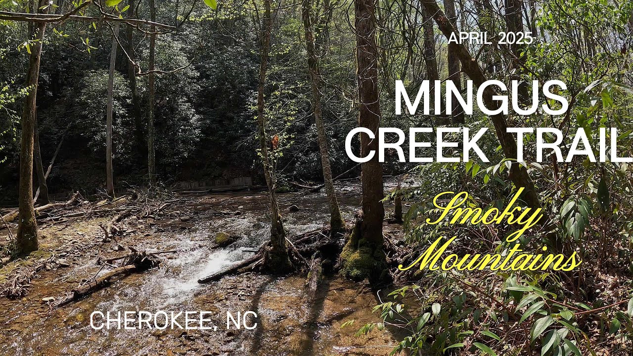 MINGUS CREEK TRAIL