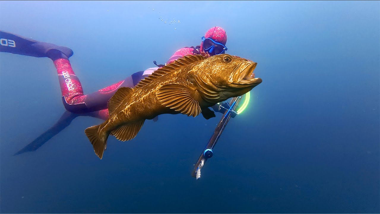 We Spent 5 Days In Canada Chasing This Fish (Catch & Cook)