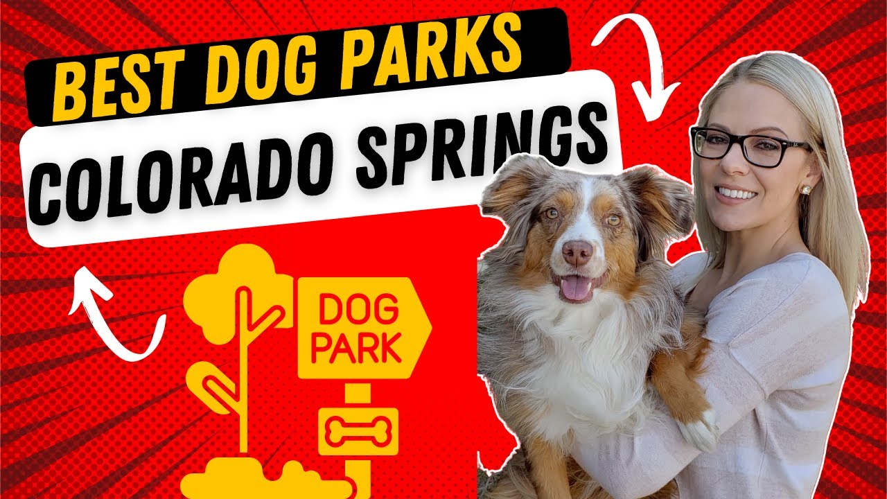 BEST DOG PARKS in Colorado Springs | Things To Do