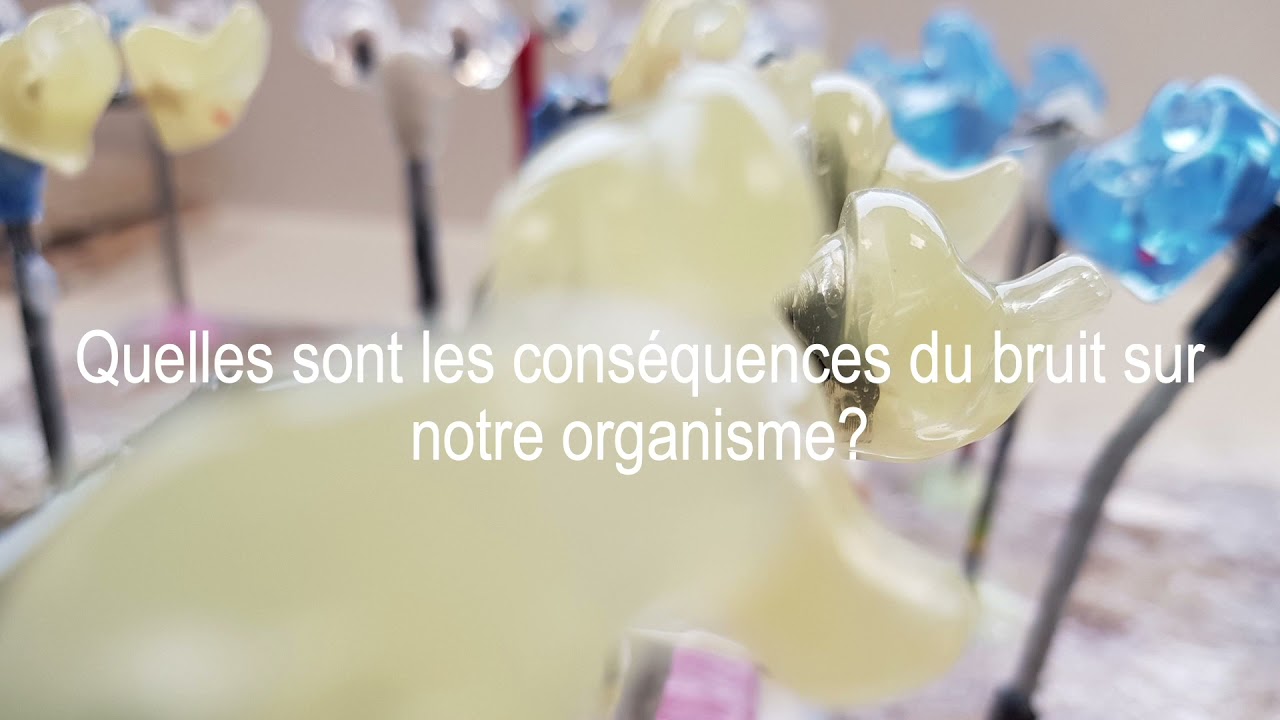 Sensibilisation aux dangers du bruit