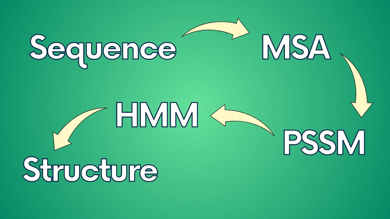 Homology Modeling with PSI-BLAST, HHblits, HHpred and Modeller