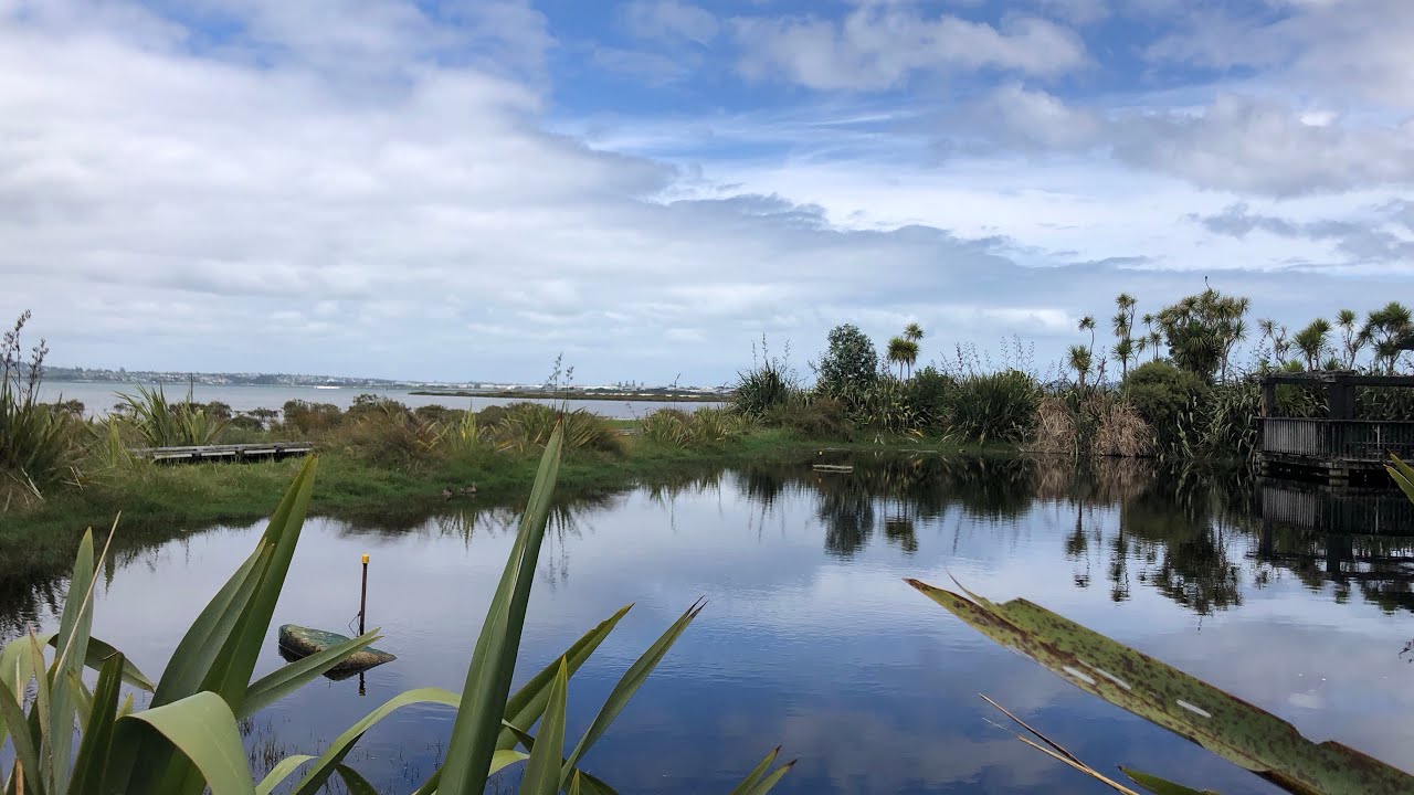 BUDGET AND FUN THINGS TO DO WITH KIDS | Auckland, NEW ZEALAND