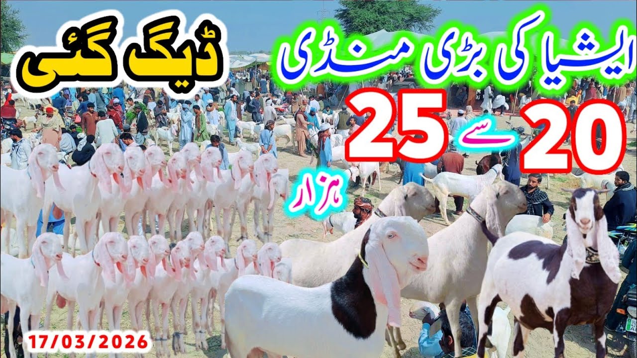 ایشیا کی سب سے سستی منڈی| منڈی ڈیگ گئی 20 سے 25 ہزار