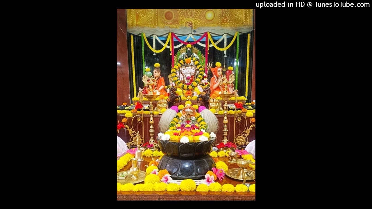 Part1:3 07-Feb-2026 చైతన్యమా? చాదస్తమా?👆 ప్రత్యేక సత్సంగం - స్వామి అనఘానంద