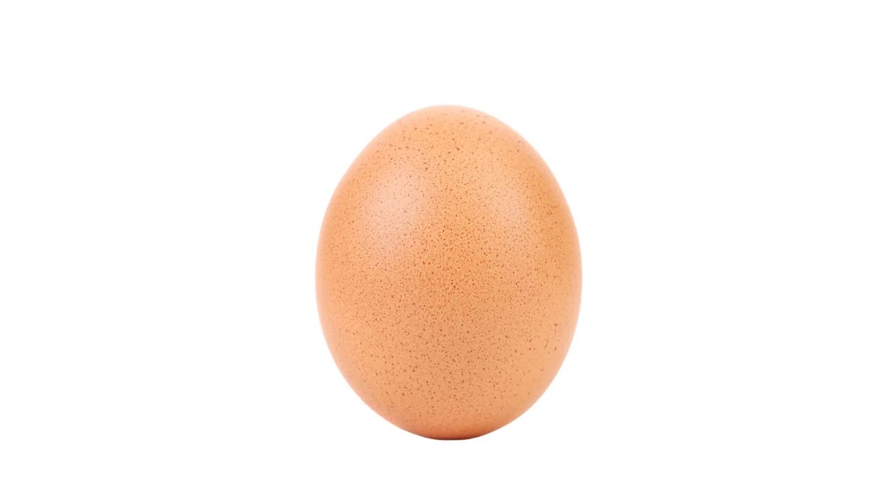 Egg