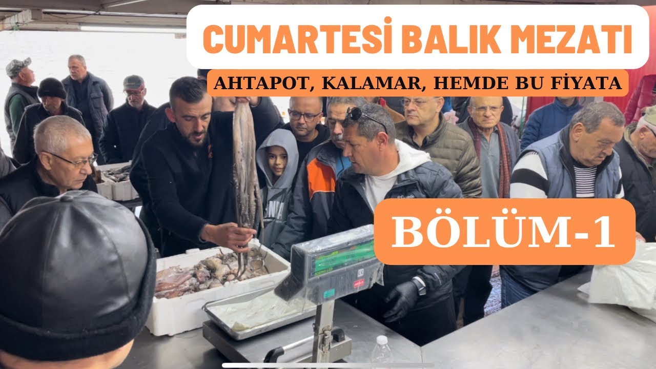EN KALABALIK MEZATTI - BÖLÜM 1 -  06.01.2024 #balık #mezat #keşfet
