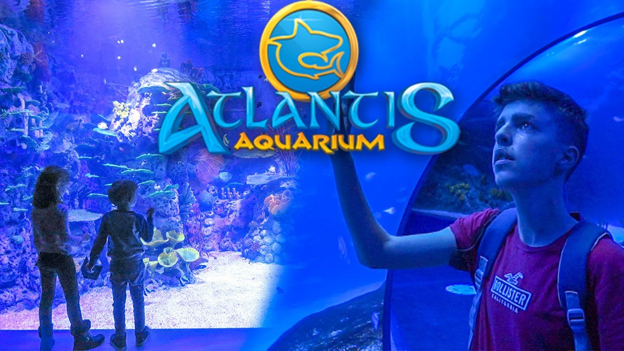 ATLANTIS AQUARIUM MADRID I Un Acuario de Nueva Generación I Xanadu