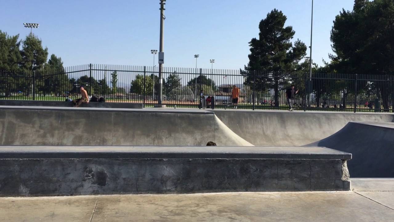 Powell peralta rides Charlie Blair Landon Belcher at chino skatepark