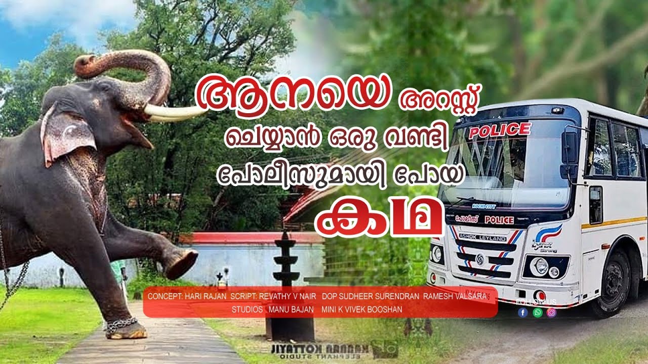 ഒരുവണ്ടി പോലീസുമായി പാലായിൽ നിന്ന് ആനയെ അറസ്റ്ചെയ്യാൻ പോയ കഥ|Elephant&Owner arrest by Police|EPI 238