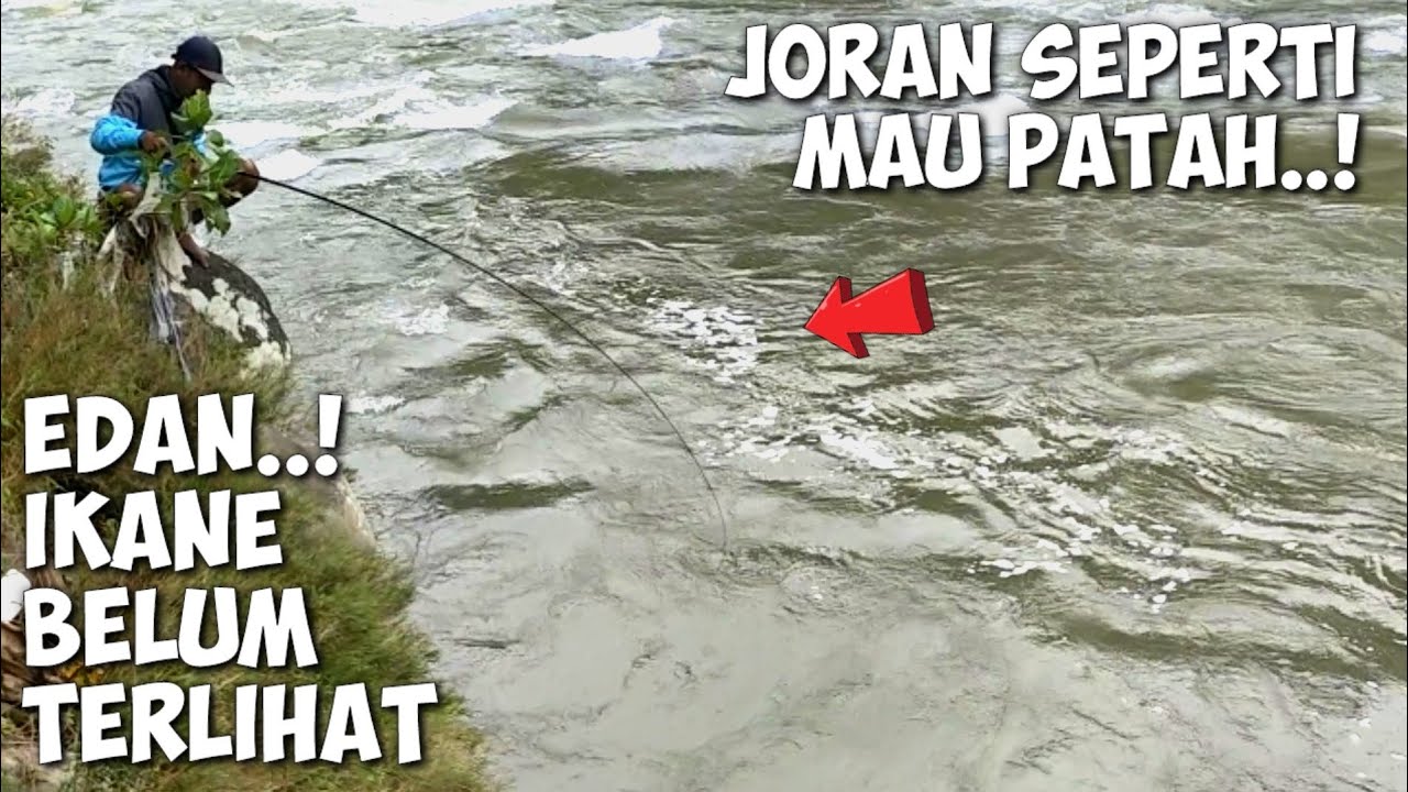 MANCING NILEM || Mancing Dasaran Di Sungai Arus Deras Sarangnya Nilem Babon - Tanpa Ragu #1