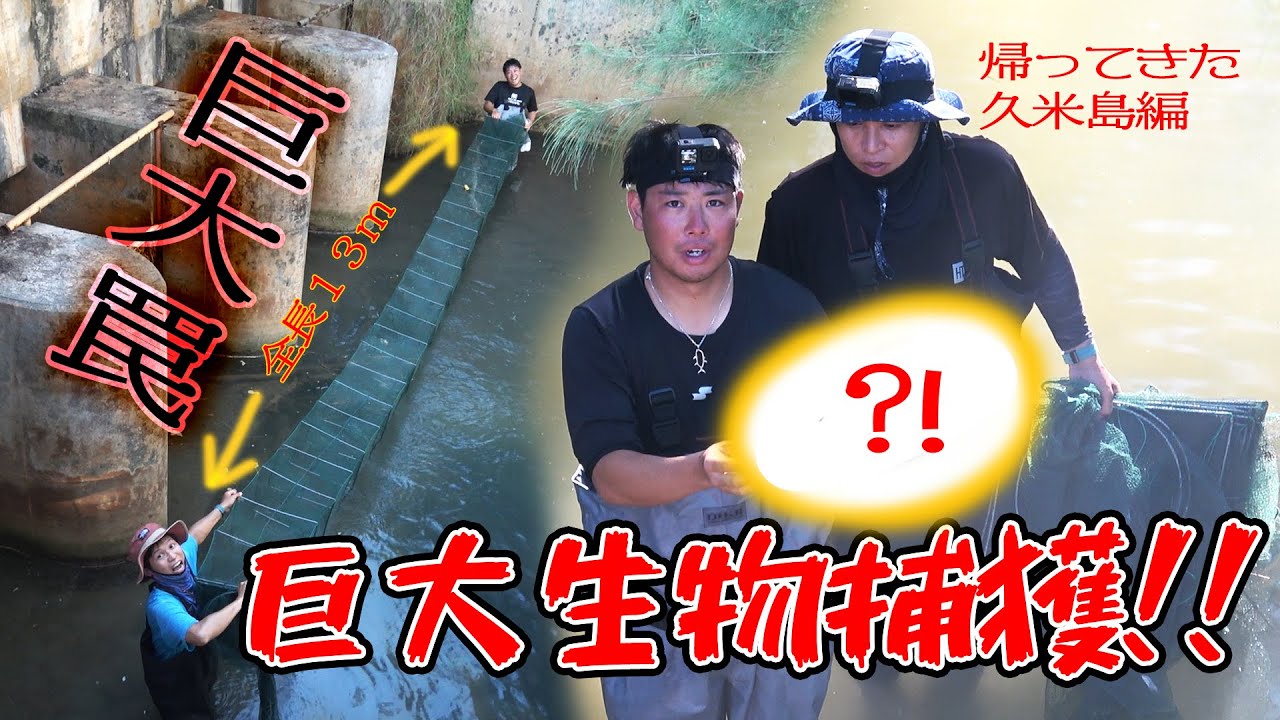 久米島で1年ぶりに外来種調査してみた