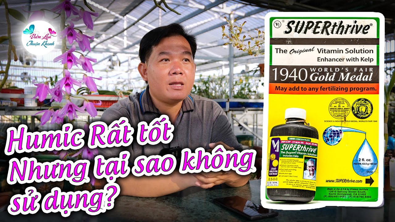 TẠI SAO HUMIC RẤT TỐT M&Agrave; KH&Ocirc;NG D&Aacute;M SỬ DỤNG | NHỮNG LƯU &Yacute; KHI SỬ DỤNG SUPERTHIRVE  #phanbonhuuco