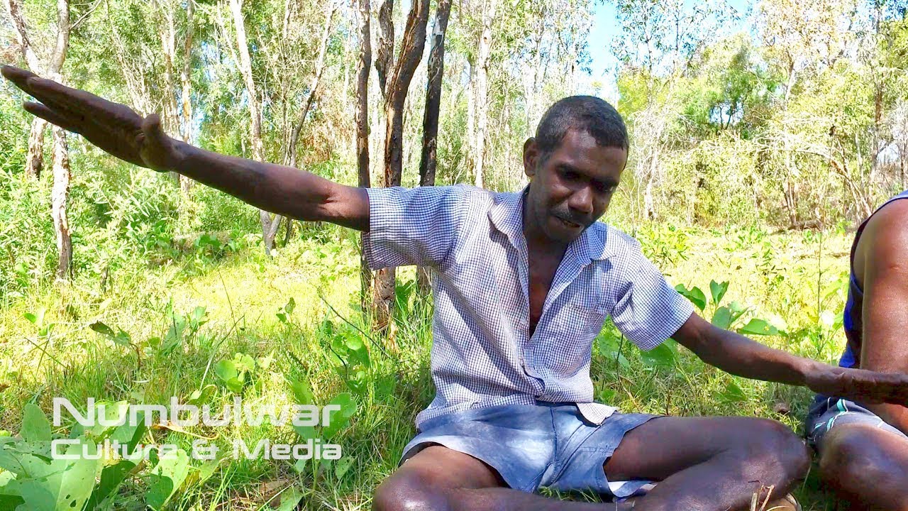 Dhaambulg Ngagangaga (Sea Eagle) - Murrungun Songs