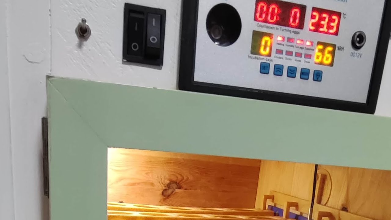 DIY-Incubator