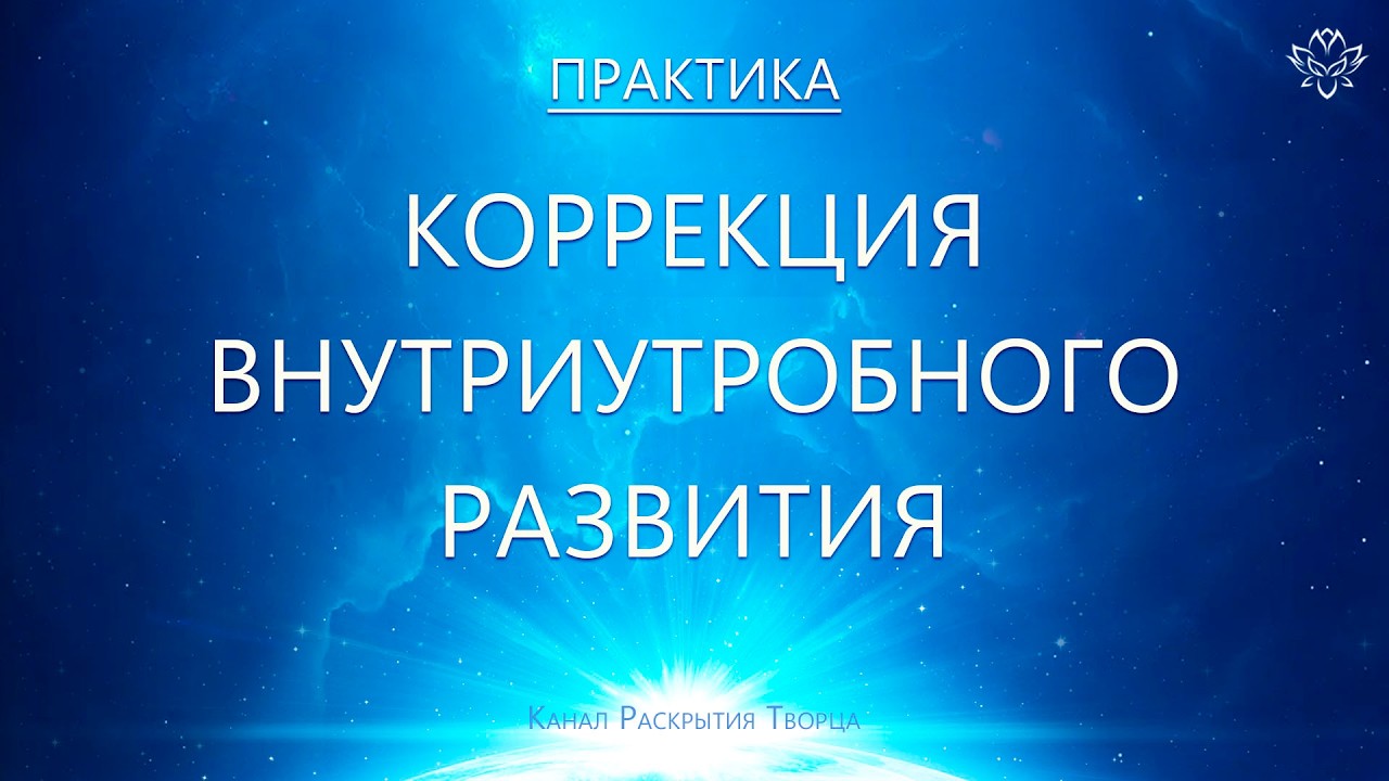Коррекция внутриутробного развития (практика)