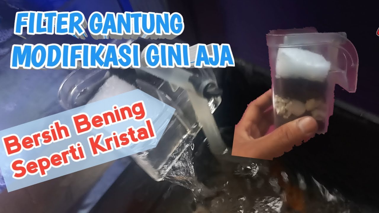 Modifikasi Filter Gantung || Dengan Media Biologis