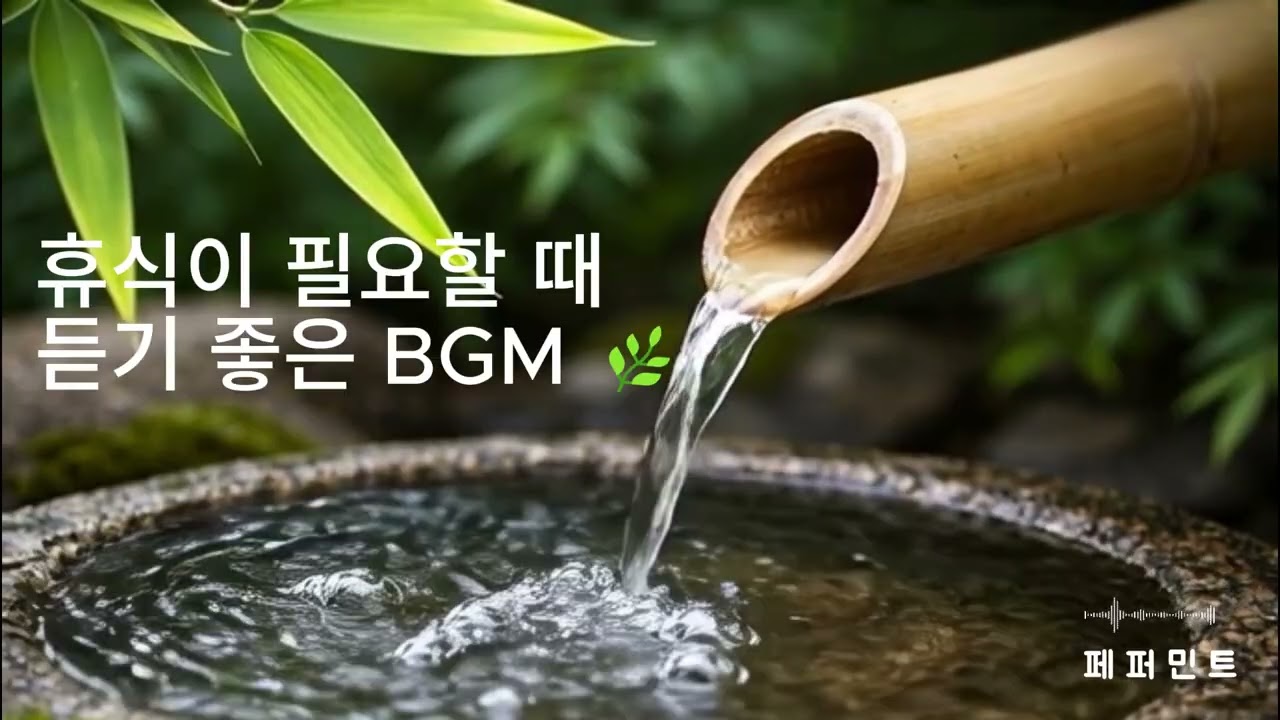 [🌿휴식이 필요할 때 듣기 좋은 BGM]