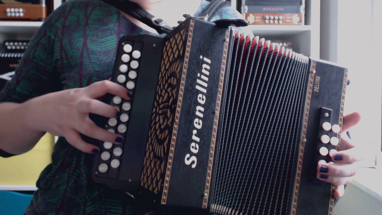 Serenellini Deluxe 233 DG  ̶F̶O̶R̶ ̶S̶A̶L̶E̶ SOLD