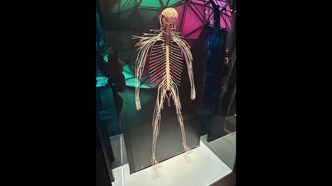 CosmoCaixa Barcelona &mdash; El Museo de Ciencia