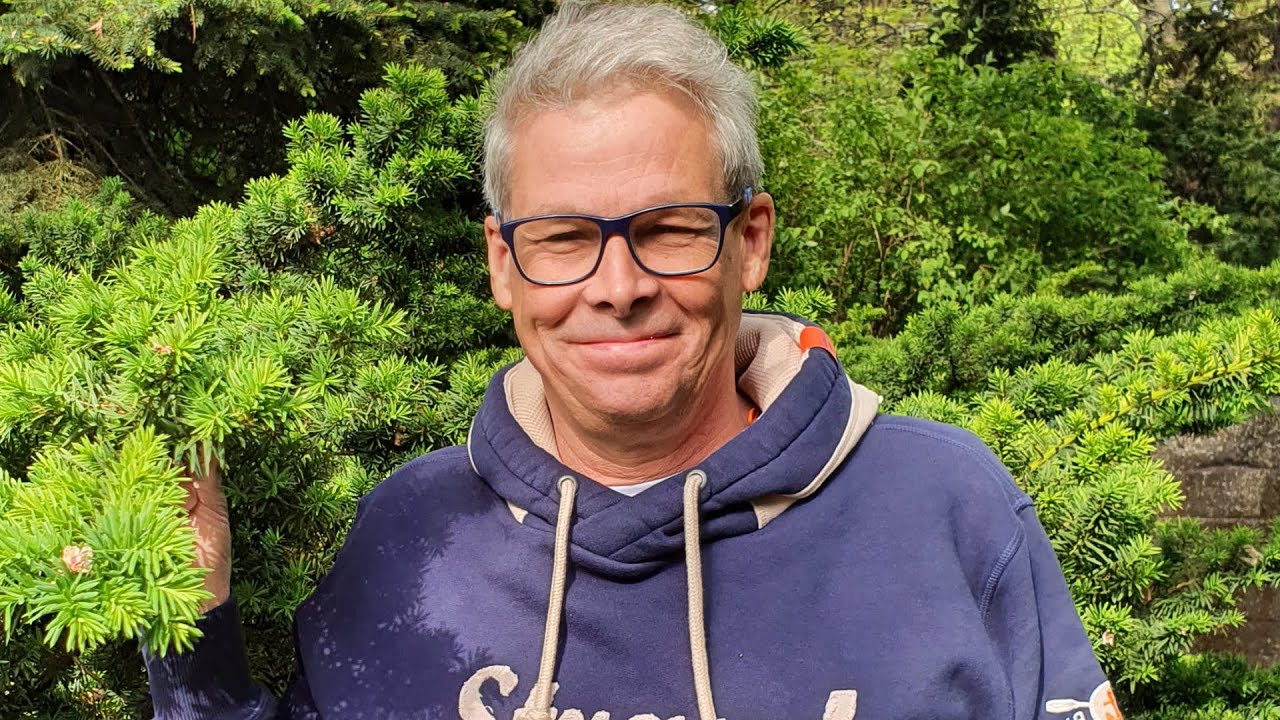 Michael Niekammer, Moderator und Sänger