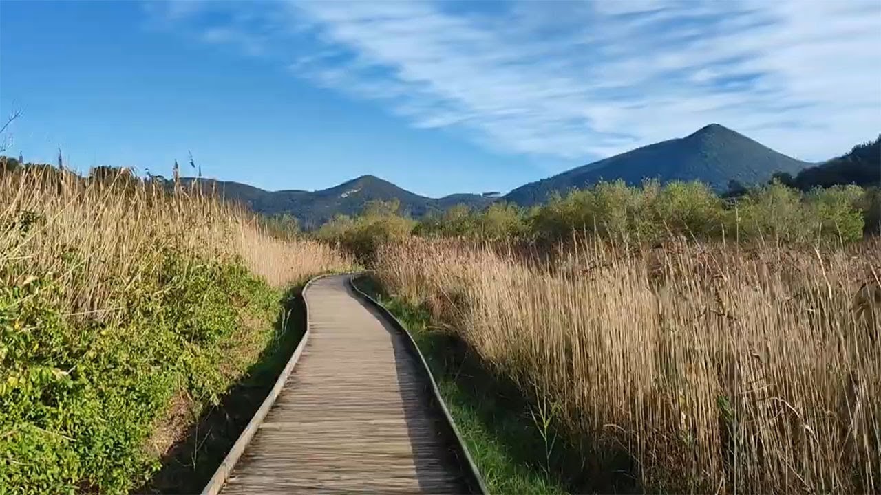 UN LARGO PASEO URDAIBAI de InhAr2 - Vizcaya, Busturialdea, Urdaibai (Inhar Goienetxea Cereceda) 2023