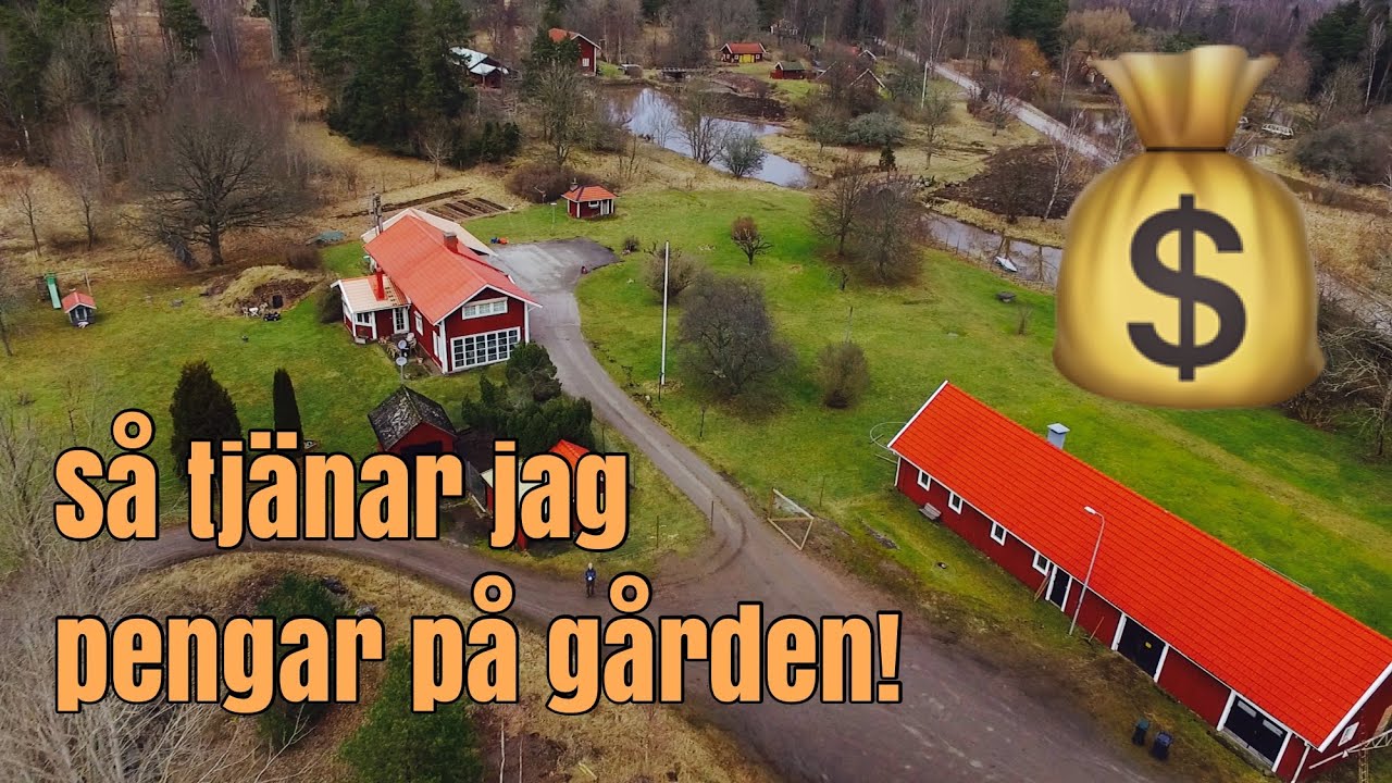 Hur jag tjänar pengar på min lilla gård.