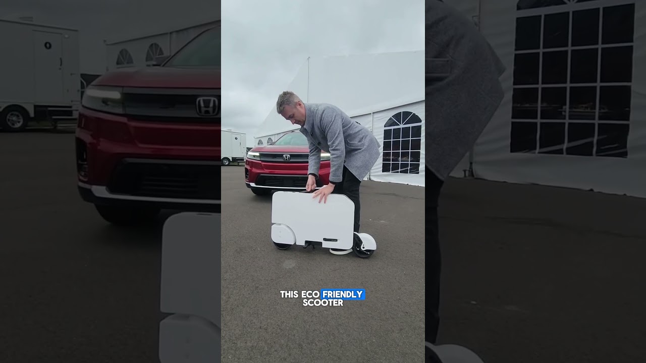 Электросамокат размером с чемодан