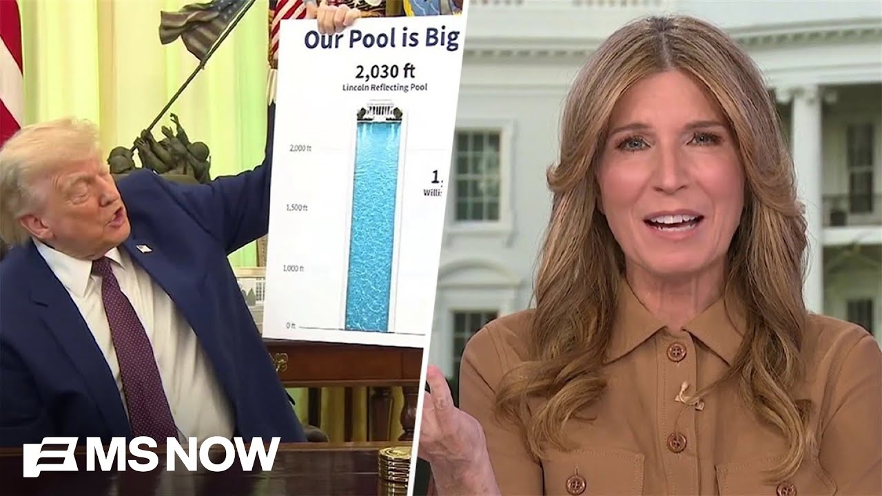 'I'm embarrassed even READING this to you': Nicolle on Trump GIDDY about his BIG pool renovation
