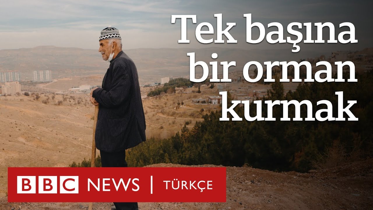 Tek başına bir orman kurmak: Mardinli 'Şeyhmus Amca'nın hikayesi