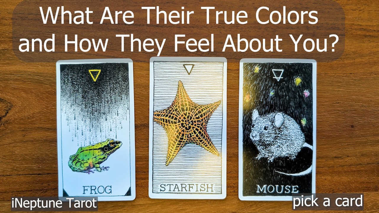 THEIR TRUE COLORS & HOW THEY FEEL ABOUT YOU 🌊| Pick a Card Tarot Reading (Timeless)