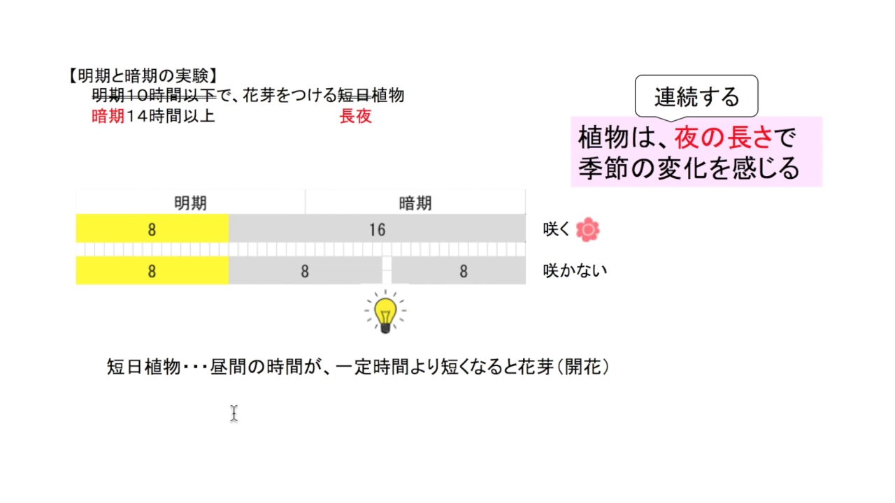 長日植物と短日植物