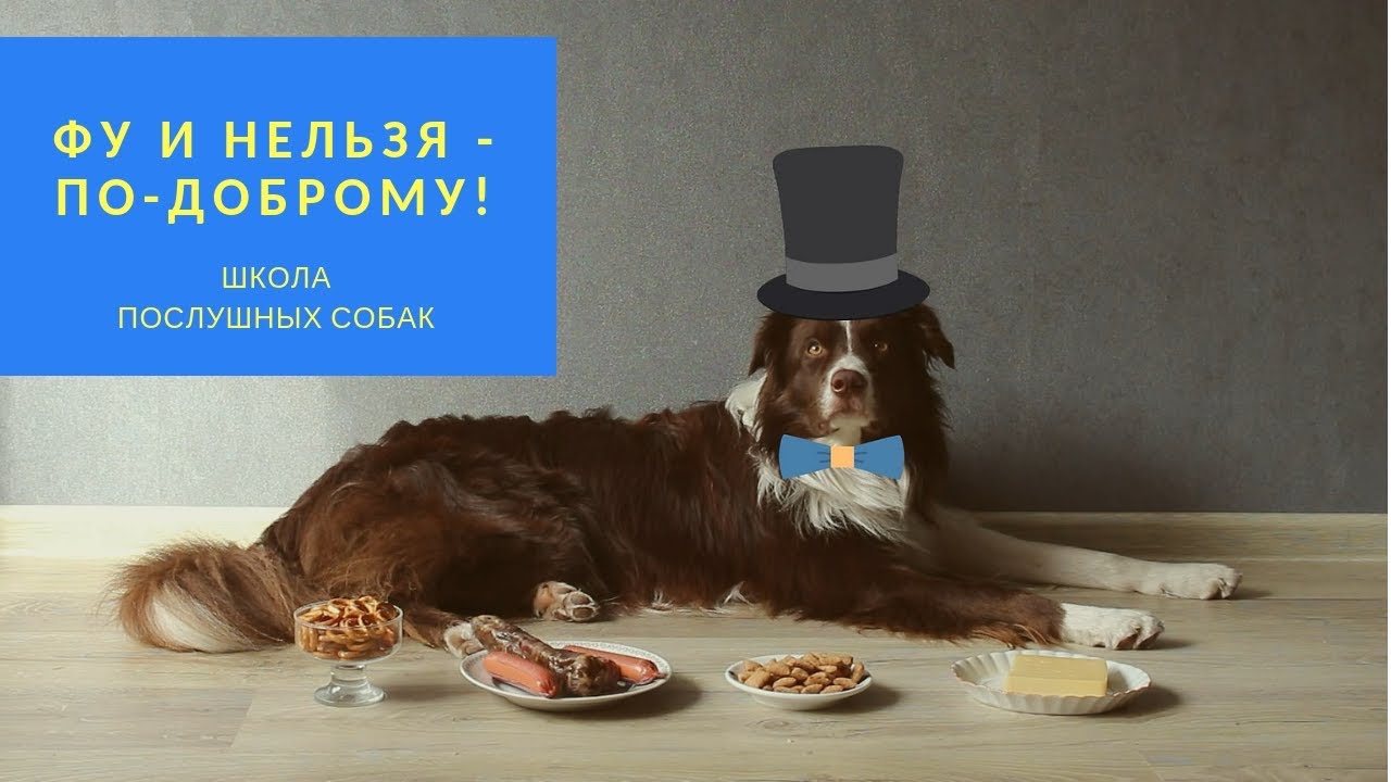 Команды ФУ, НЕЛЬЗЯ - по-доброму!