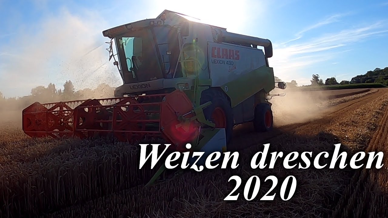 Weizendreschen 2020 | Claas Lexion 430