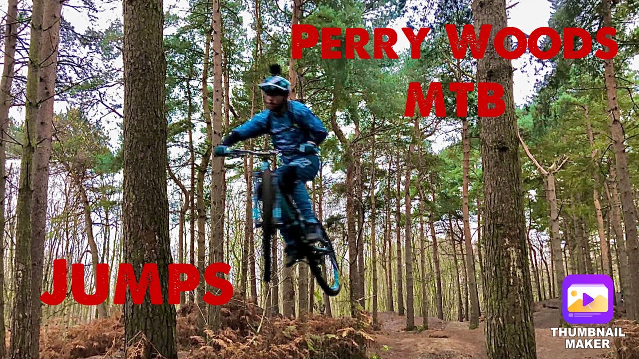 Perry Woods MTB Jumps