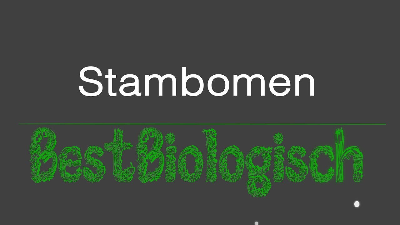 Stambomen