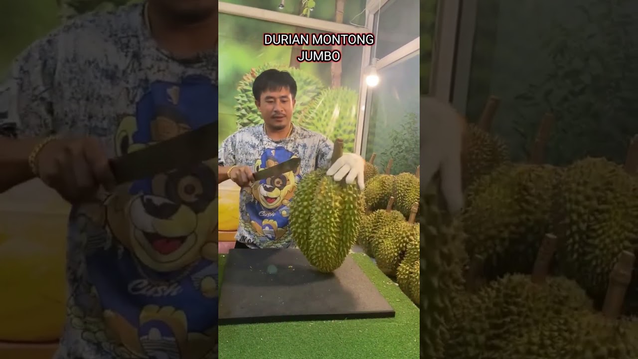 durian montong from thailand 