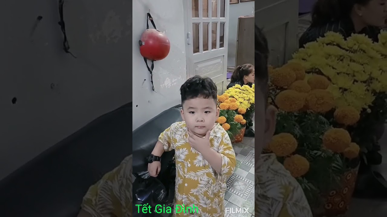 Kn 2026 Tết GĐ