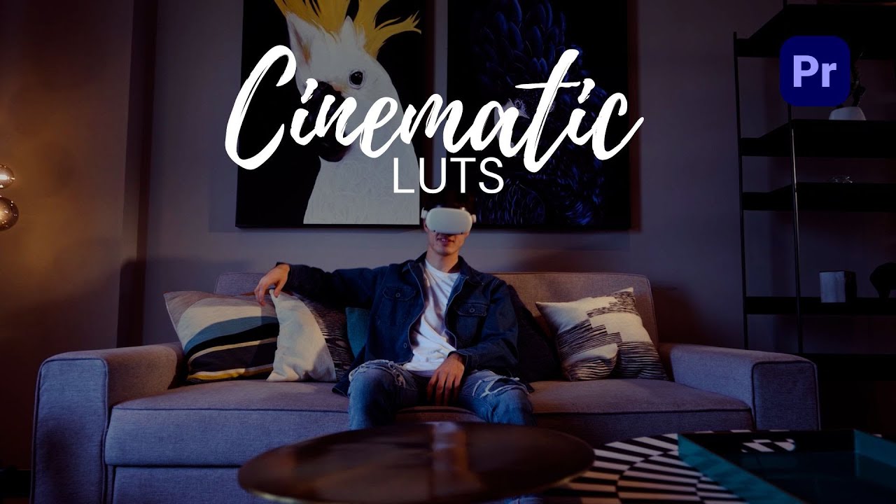 How To Cinematic Luts | Free Color Grading LUTS | HV Presets |