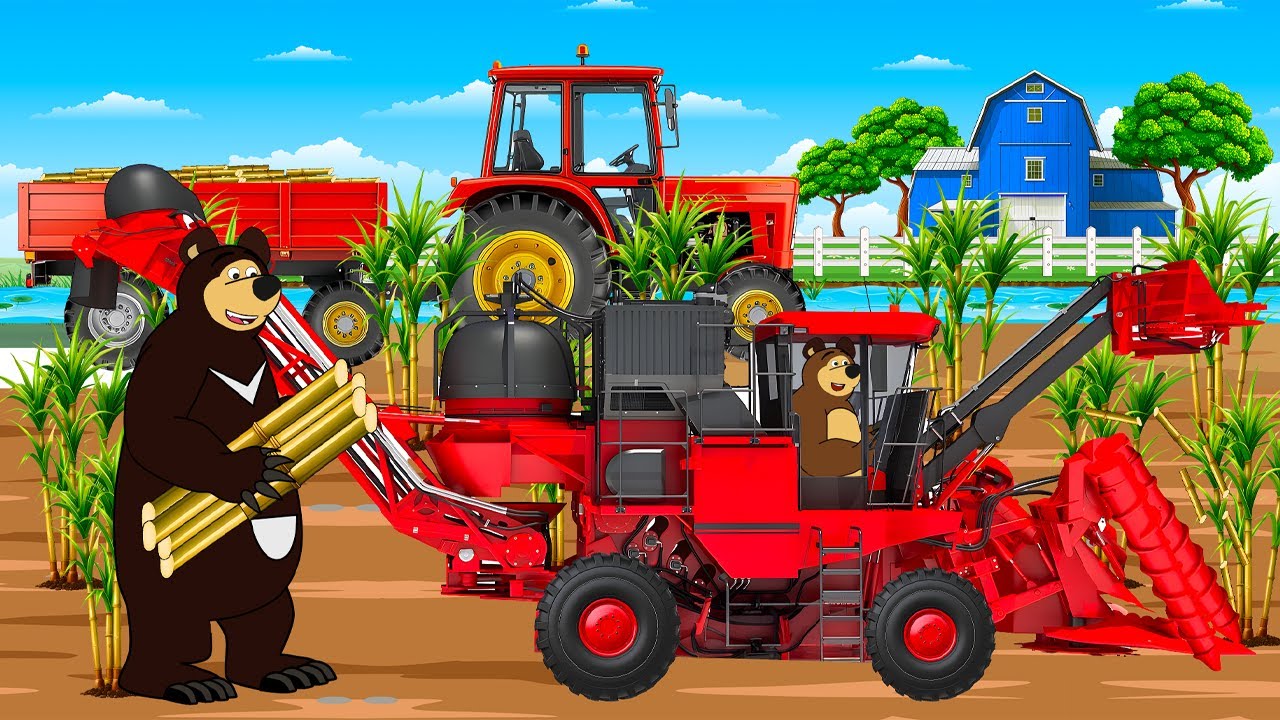 Planting, Caring for, and Harvesting Sugarcane with Machines